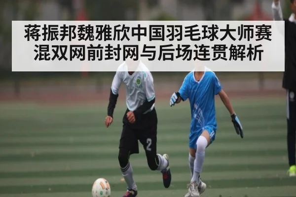 蒋振邦魏雅欣中国羽毛球大师赛混双网前封网与后场连贯解析